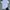 Polo Shirt by Polo Ralph Lauren photo 1