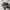 Adidas Streetwear Sportswear Sneakers Pria brown black photo 8