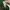 ZARA Purl Green Chunky Knit Button Front V-Neck Cardigan photo 6