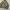 Vintage Raruvan Harrington Flight Jacket photo 2