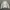 Ecouse x Azul Leather Synthetic Jacket photo 4