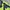 Descente Vintage Sportswear Windbreaker Pria green photo 6