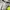 Descente Vintage Sportswear Windbreaker Pria green photo 8