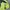 Descente Vintage Sportswear Windbreaker Pria green photo 7