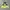Descente Vintage Sportswear Windbreaker Pria green photo 2