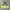 Descente Vintage Sportswear Windbreaker Pria Green