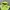 Descente Vintage Sportswear Windbreaker Pria green photo 5