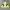 Descente Vintage Sportswear Windbreaker Pria green photo 4