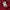 A Bathing Ape Casual T-shirt Wanita burgundy photo 5