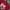 A Bathing Ape Casual T-shirt Wanita Burgundy