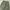y2k dark green cargo balloon fit photo 6