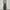 y2k dark green cargo balloon fit photo 1