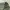 y2k dark green cargo balloon fit photo 8