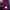 THEORY Purple Dress