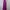 THEORY Purple dress photo 1