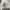 Converse Minimalist Casual Wanita white photo 3