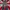 baggy jeans clride photo 1