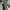 ARMANI JEANS DYED NYLON JACKET photo 7