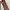 Anna Sui Y2K Avant Garde Belt Pria brown photo 4