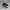 SALOMON XT