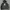 Hoodie puma photo 1