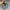 ASIC GEL KAYANO 14 GREEN SILVER photo 3