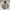 ESS fishing jacket tactical  photo 1