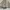 ESS fishing jacket tactical  photo 4