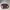 Oakley software  photo 2
