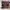 Oakley software  photo 4