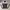 Oakley software  photo 1