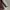 Oakley software  photo 5