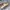 sendal crocs original cream  photo 4