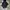 Abercrombie & Fitch Zip Hoodie Navy Original photo 4