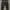 Nike trail legging photo 5
