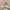 Boonie Hat US Army OCP Scorpion 58 Cm photo 6