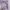 MASSIMO DUTTI Scraft/Syal In Purple graduation  photo 5