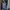 MASSIMO DUTTI Scraft/Syal In Purple graduation  photo 6