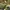 BDU US NAVY SEAL Woodland Raid Cut Original L fit XL photo 6