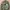 BDU US NAVY SEAL Woodland Raid Cut Original L fit XL photo 7