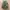 Tas Ransel ROK Korea Army Granite B Water Repellent Original photo 5