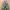 Tas Ransel ROK Korea Army Granite B Original photo 6