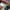 NIKE AIR MAX PLUS TN WHITE BLACK MINT GREEN photo 5