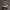 NIKE AIR MAX PLUS TN RETRO FUTURE photo 1