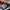 NIKE AIR MAX PLUS TN RETRO FUTURE photo 5
