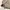 ZARA Streetwear Casual Denim jacket Pria tan photo 3