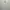 Casual Windbreaker Pria white photo 1