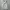 Carhartt YaleSweat Hooded photo 1