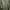 Hush Puppies Sweater Wanita green photo 1