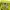 Eider Gorpcore Sportswear Windbreaker Pria yellow photo 5